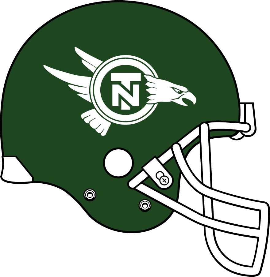 North Texas Mean Green 1992-1993 Helmet diy DTF decal sticker